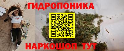 твердый Камышлов