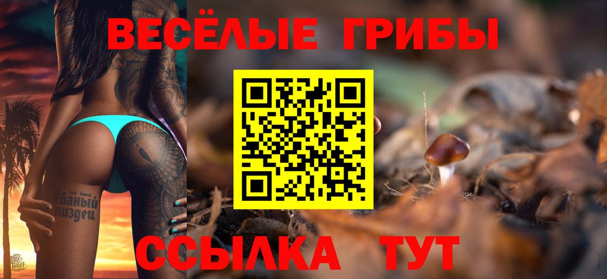 Кудрово  Галлюциногенные грибы мицелий  купить  сайты  Галлюциногенные грибы Magic Shrooms  Вход с VPN 